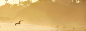 socal sunset slider 2