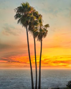 Socal rehab laguna beach ca