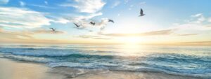 methadone rehab orange county
