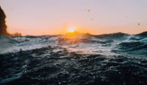 Roxicodone Detox and rehab at Socal Detox